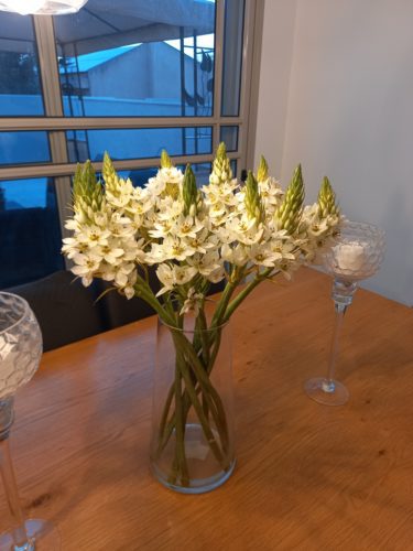 סידור פרחים קרנבל בלבן photo review